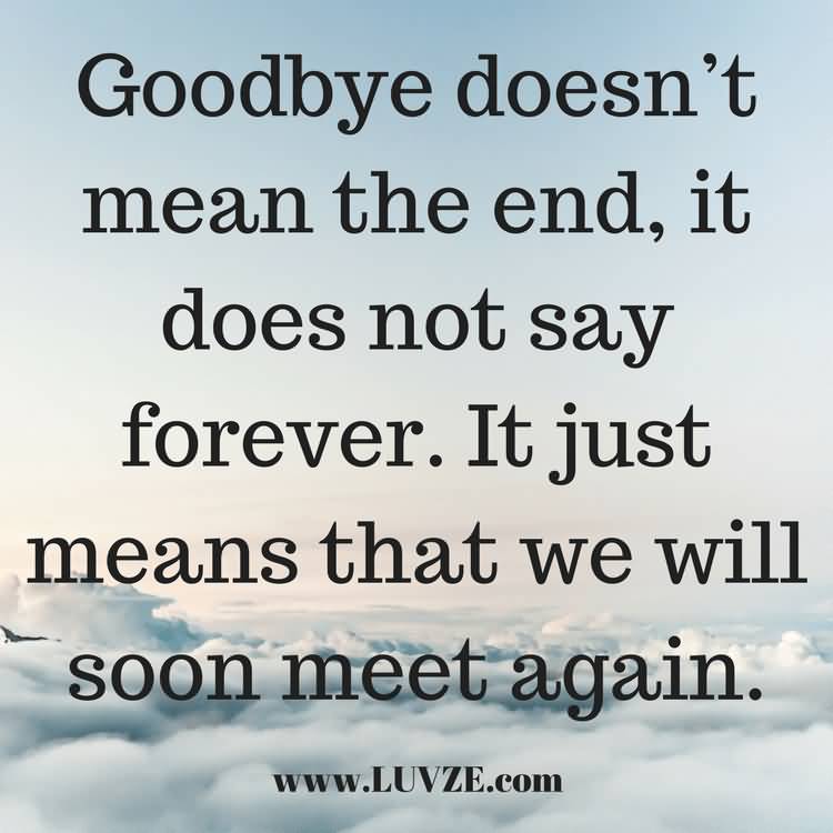 25 Mind Pleasing Goodbye Quotes That Give You Peace - Picss Mine