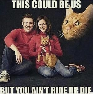24 Ride Or Die Meme That Make You Laugh - Picss Mine