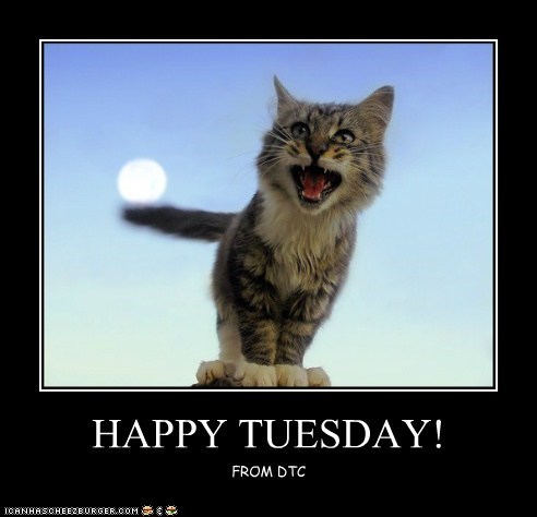 25 Happy Tuesday Meme Funny Images & Jokes - Picss Mine