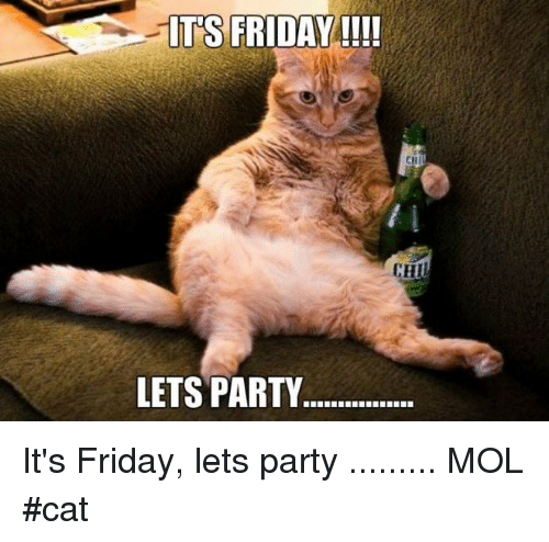 37 Friday Party Meme That Make You Smile - Picss Mine