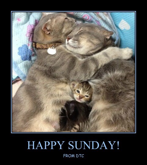 23 Happy Sunday Meme Funny Images & Photos - Picss Mine