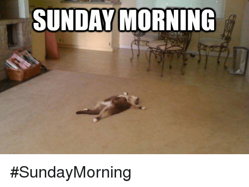 21 Sunday Morning Memes Funny Pictures Stock - Picss Mine