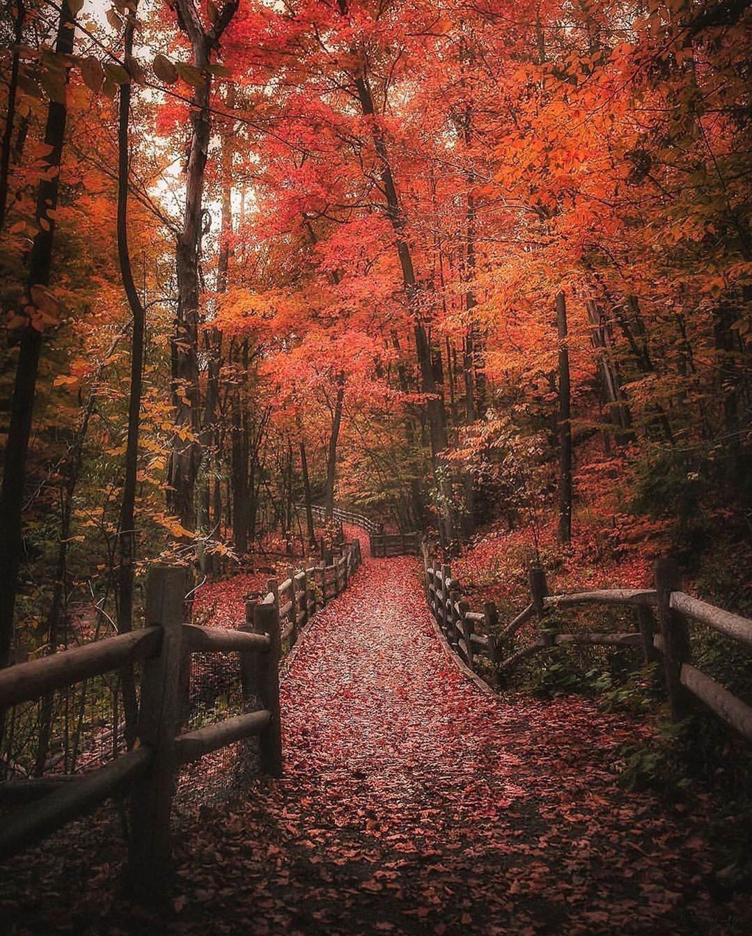 Toronto, Ontario - Some fall magic from Toronto! Have a great weekend