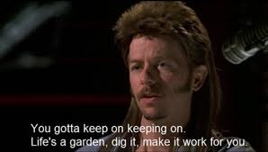 24 Joe Dirt Quotes Pictures and Photos Collection - Picss Mine