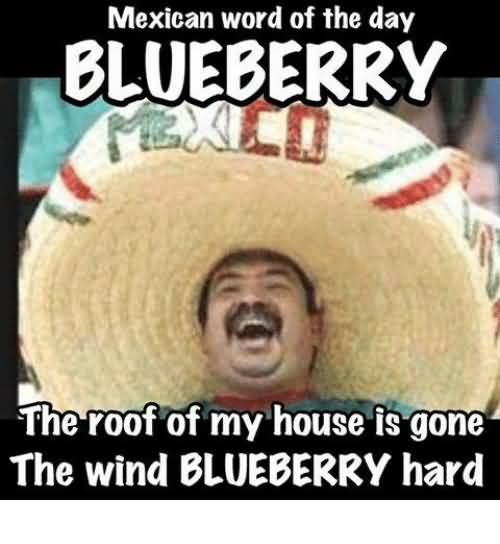 20 Funny Blueberry Meme Images Collection Picss Mine