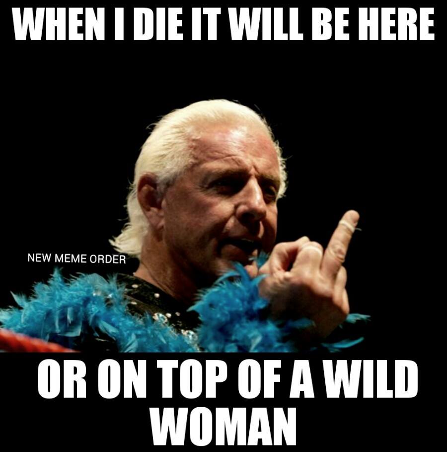 20 Very Funny Ric Flair Meme Collection - Picss Mine