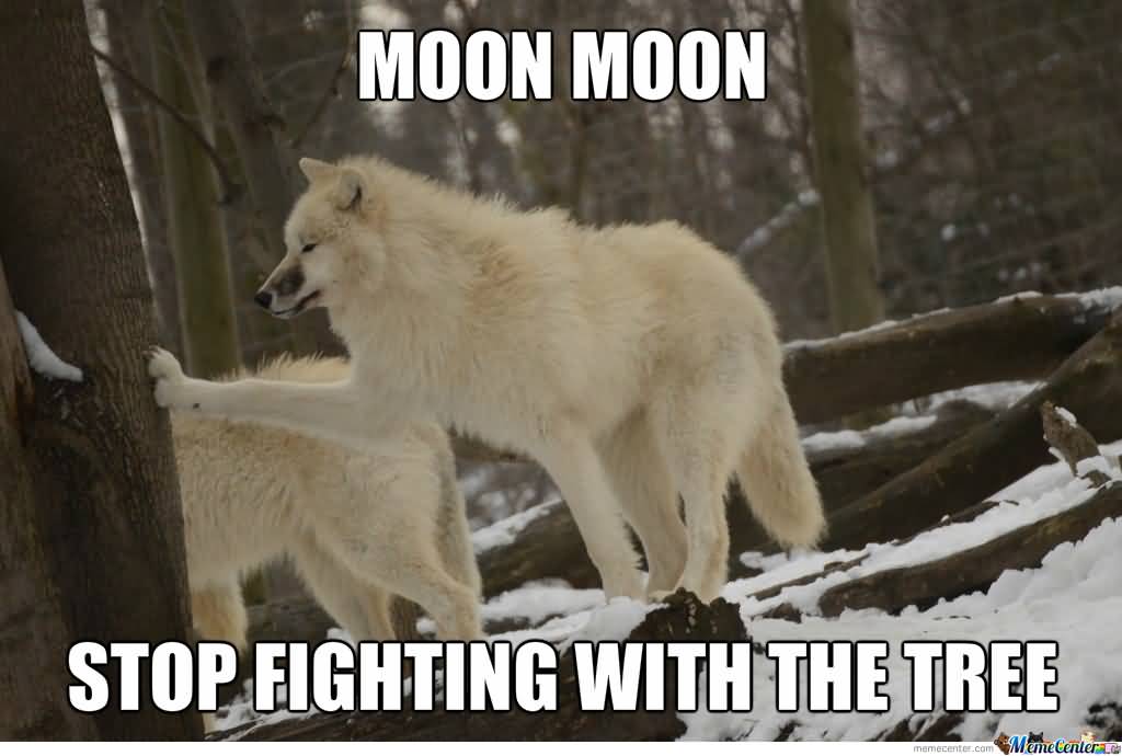 20 Funniest Moon Moon Meme Pics Collection - Picss Mine