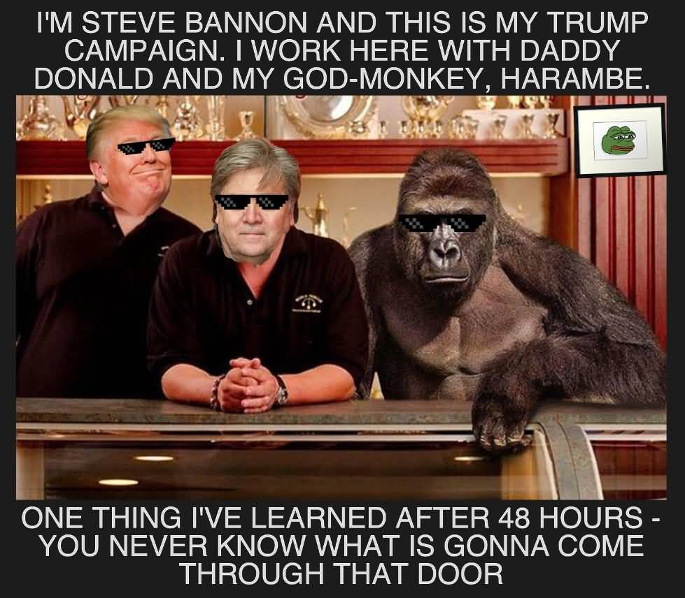 20 Very Funny Steve Bannon Meme Photos - Picss Mine